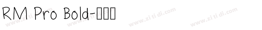 RM Pro Bold字体转换